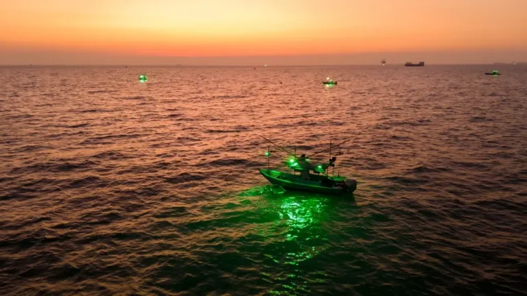 squid fishing boat turn on the squid lure and search light
