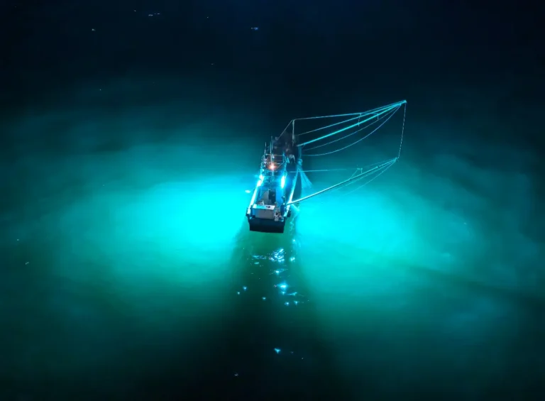 the ship is looking for fish