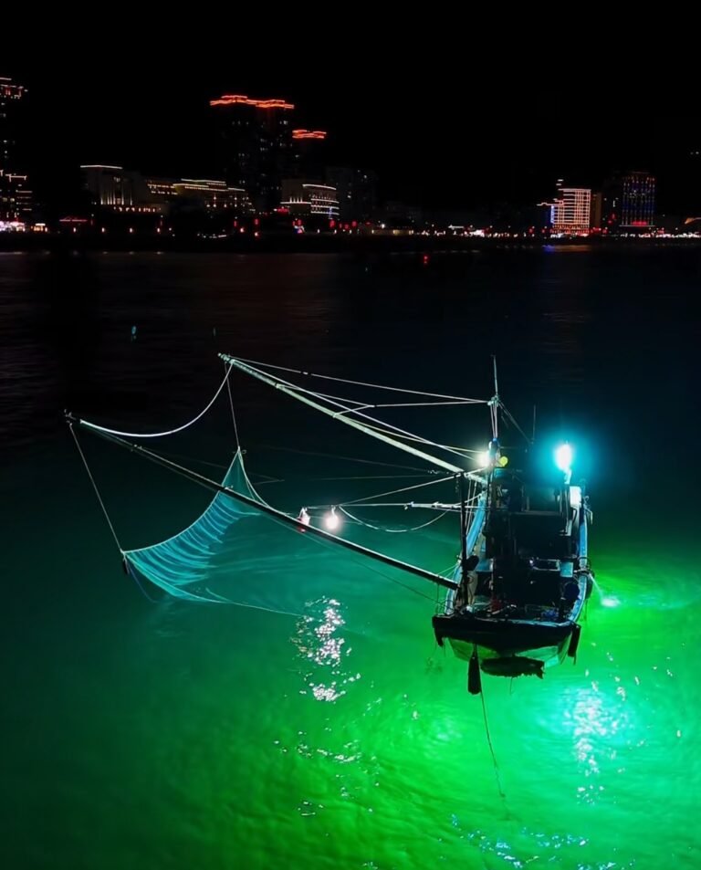 this fishing boat is using flood lights to catch fish